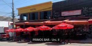Banner Primos